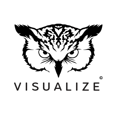 VISUALIZE SPORTS logo